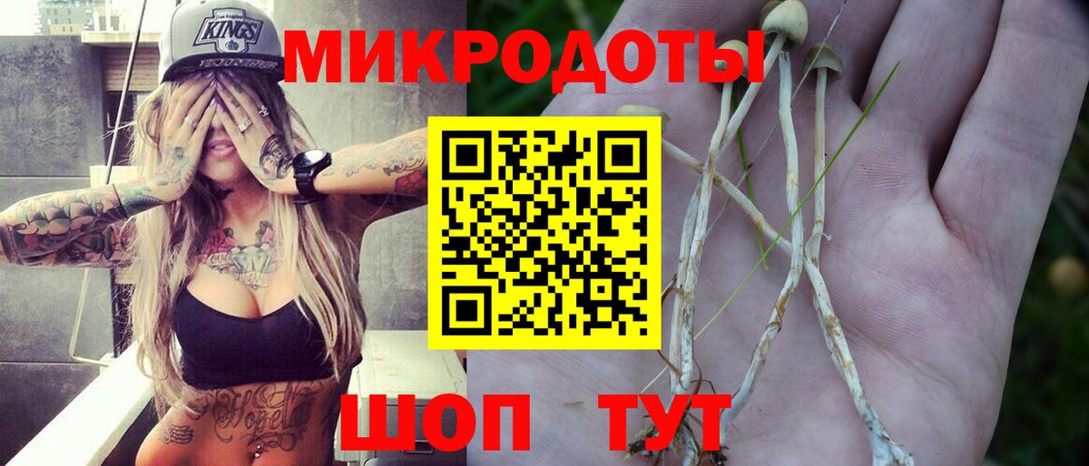 Тверь  Галлюциногенные грибы MAGIC MUSHROOMS  Вход с VPN  Псилоцибиновые грибы Psilocybe 